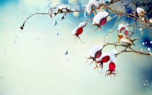 00 Winter-001