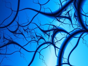 20150122 blue veins