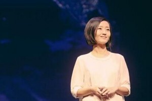 穹顶之下 柴静