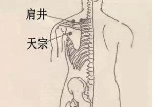 01 肩井 天宗