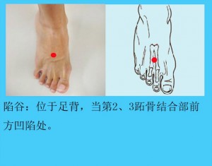 04 陷谷