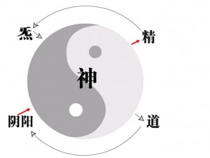 00 动静结合.jpg