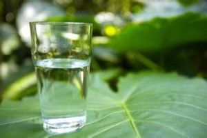 00 水杯
