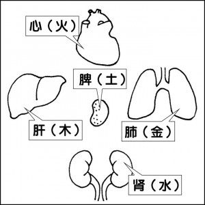 01 脏腑对应