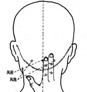 01 风池、风府