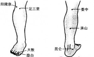 03 涌泉、承山、阳陵泉