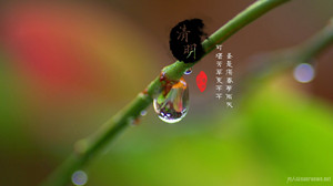 01 清明
