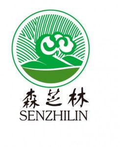00 森芝林logo