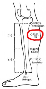 01 地机穴