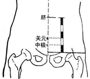 03 中极穴