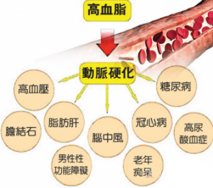 01 高血脂的危害