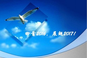 展翅2017