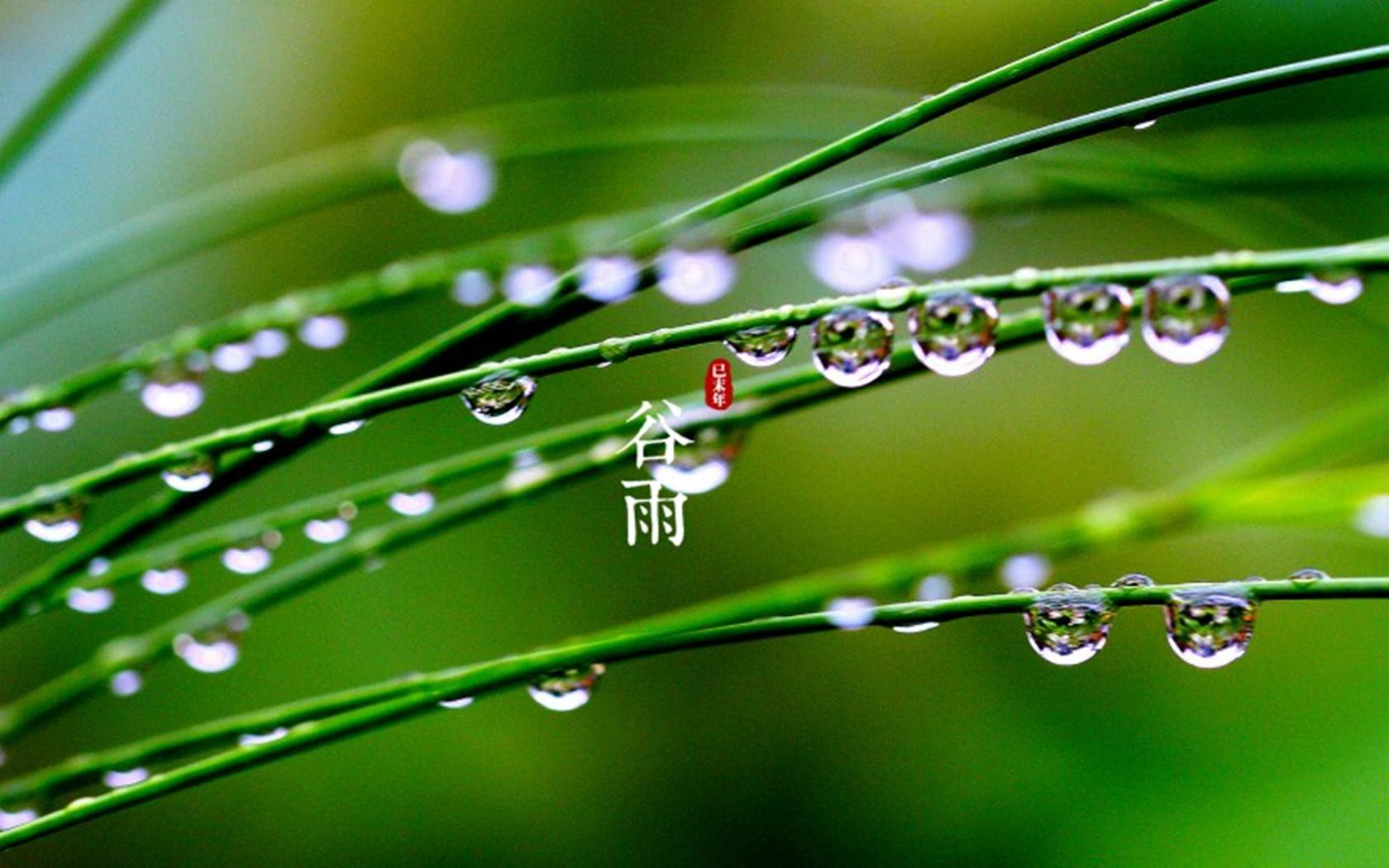 谷雨唯美高清图片_二十四节气谷雨图片桌面壁纸_三千图片网